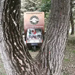 Instagram slika Go Coffee Go 3